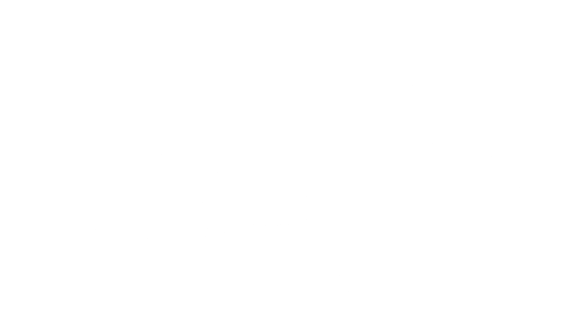 Logo www (1)