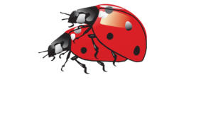 Logo www (7)