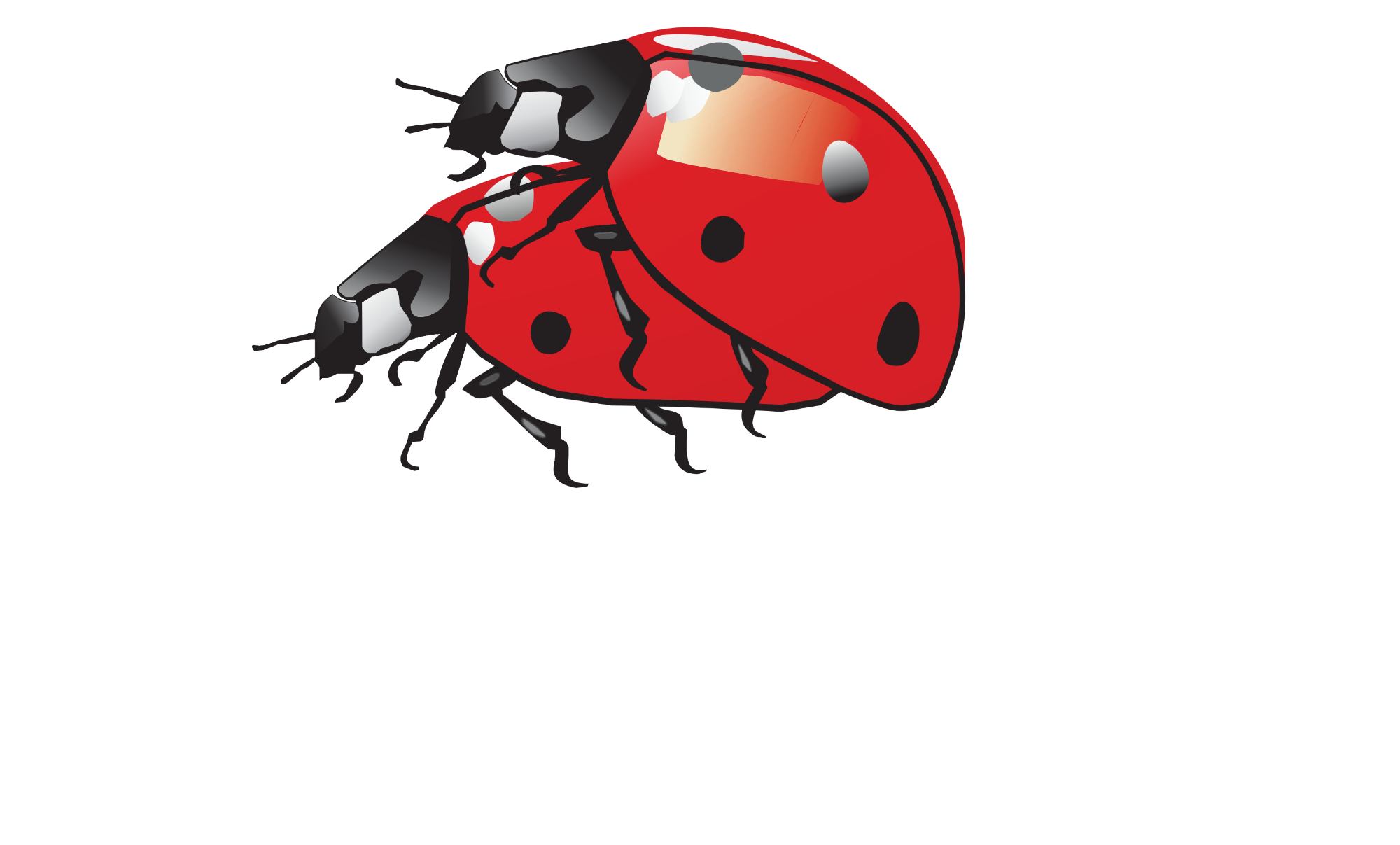 Logo www (7)
